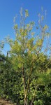 20190927_160810.jpg