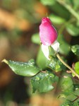 PA026630  1.jpg
