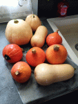 IMG_20191002_180329.gif