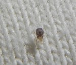 DSCN5358.JPG