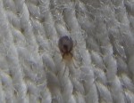 DSCN5359.JPG
