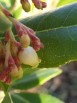 20191003_090555#1.jpg
