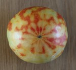 tomate-small.jpg