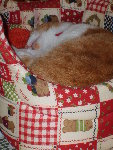 mimi...etc 003.jpg