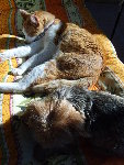mimi...etc 013.jpg