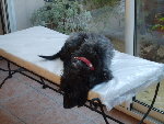 mimi...etc 019.jpg
