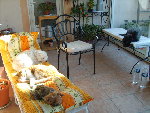 mimi...etc 020.jpg