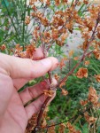 20191004_180242_resize.jpg
