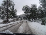 neige janvier 09 020.jpg