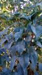 IMG_20191005_174113.jpg