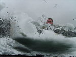 neige janvier 09 012.jpg