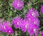 DSCF3619.jpg