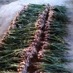 IMG_20190621_200357.jpg (138.83 Kio) Consulté 4352 fois juin le 21