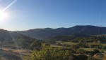 20191008_085418.jpg