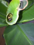 IMG_0431.jpg