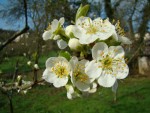 DSC00058.jpg