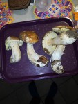 IMG_20191018_204910-min.jpg