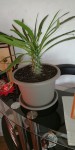 IMG_20191020_132134.jpg