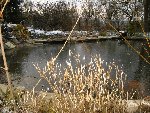 Bassin 4 cm de glace 002.jpg