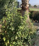 Photo3