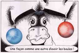 âne sapin.jpeg