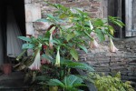 IMG_0641.JPG