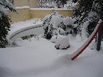 toujours côté piscine à 14h, un palmier &quot;meringué&quot;