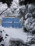 l'allée de l'entrée, l'olivier à droite ploie sous le poids de la neige