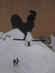la girouette en a perdu le nord
