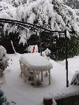 pergola.jpg