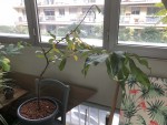 IMG_5866.jpeg