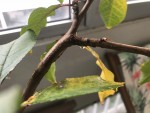 IMG_5868.jpeg