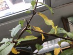IMG_5867.jpeg