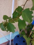 IMG_20191103_101734_1000.jpg