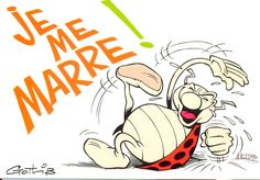 Coccinelle MDR.jpg