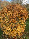 IMG_5357.JPG