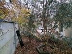 IMG_20191202_162903.jpg