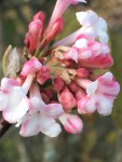 IMG_5382.JPG