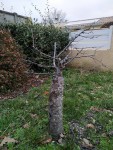IMG_20191202_163850.jpg