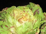 castelfranco 5.JPG