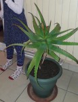 20191122_190649.jpeg