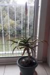 20191213_144953.jpeg