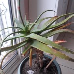 20191213_145011.jpeg