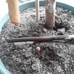 20191213_145451.jpeg