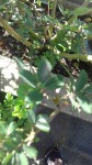 20191216_150039_resized.jpg