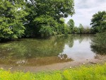 IMG_5296.jpg