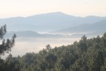 IMG_0747.JPG