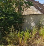 20190804_125221(2).jpg