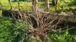 IMG-20200112-WA0002.jpg