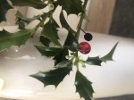 C2047823-B429-4F54-B378-F92AEA614BD8.jpeg